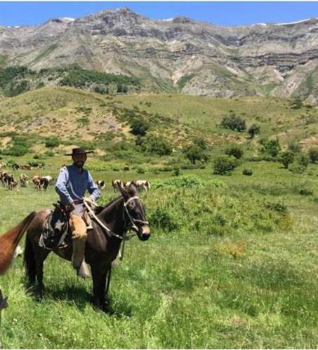 Se vende fundo 7860 Hás En Colbún, Región del Maule