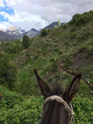 Se vende fundo 7860 Hás En Colbún, Región del Maule
