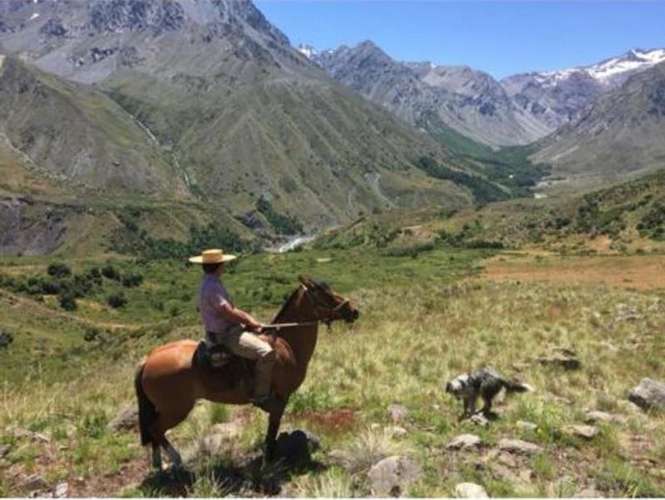 Se vende fundo 7860 Hás En Colbún, Región del Maule