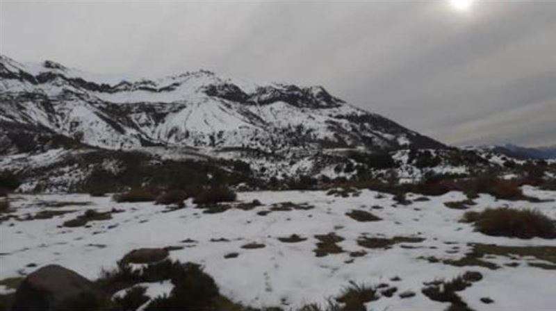 Se vende campo de 7860 Hás En San Clemente, Región del Maule