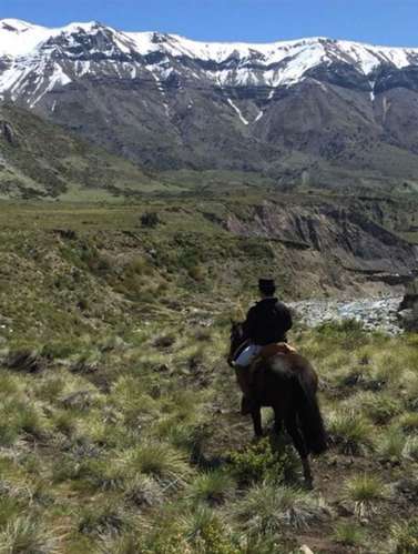 Se vende campo de 7860 Hás En San Clemente, Región del Maule