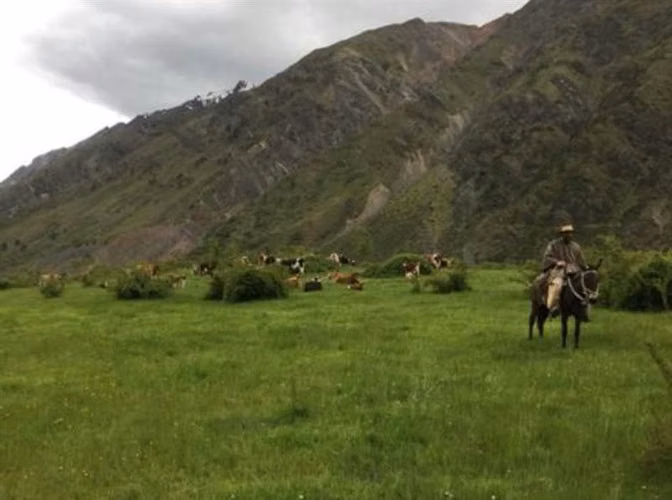 Se vende campo de 7860 Hás En San Clemente, Región del Maule