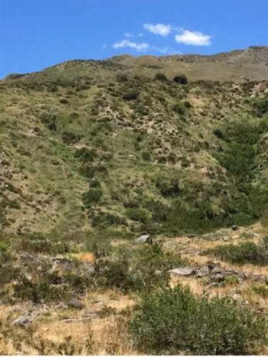 Se vende campo de 7860 Hás En San Clemente, Región del Maule