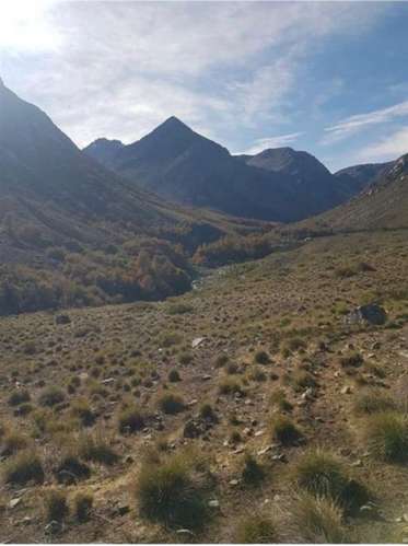 Se vende campo de 7860 Hás En San Clemente, Región del Maule