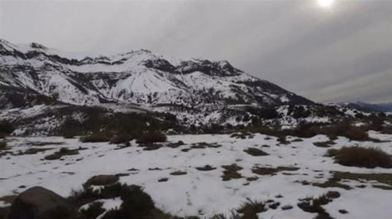 Se vende campo de 7860 Hás En San Clemente, Región del Maule
