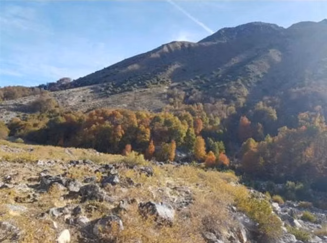 Se vende campo de 7860 Hás En San Clemente, Región del Maule
