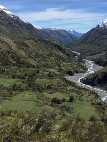 Se vende campo de 7860 Hás En San Clemente, Región del Maule