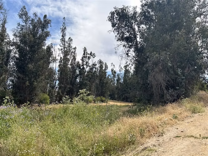 Parcela en venta en Melipilla - Imagen 3