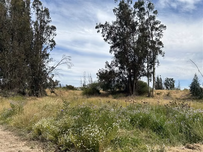 Parcela en venta en Melipilla