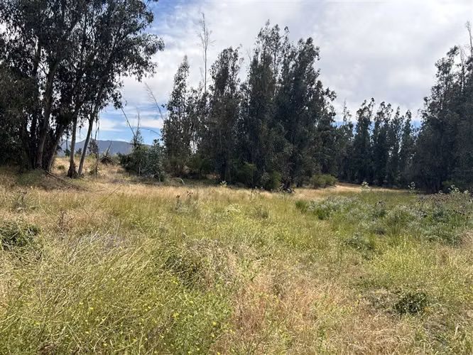 Parcela en venta en Melipilla