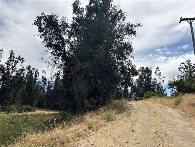 Parcela en venta en Melipilla - Imagen 6