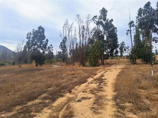 Parcela en venta en Zapallar con agua potable y electricidad - Imagen 17