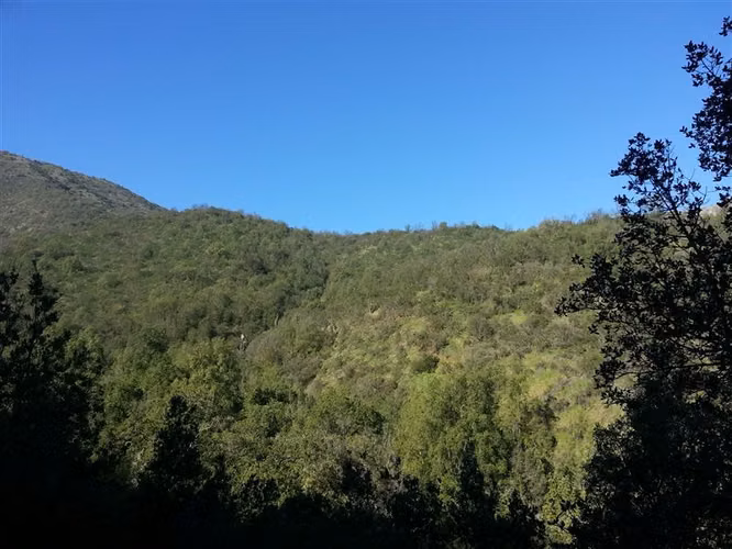 Parcela en venta en Curacaví - Imagen 2