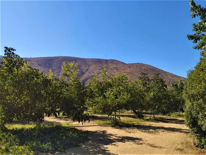 Parcela en venta en Curacaví