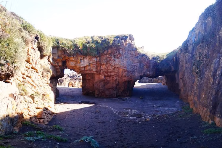 Sitio en venta en Pelluhue - Imagen 17