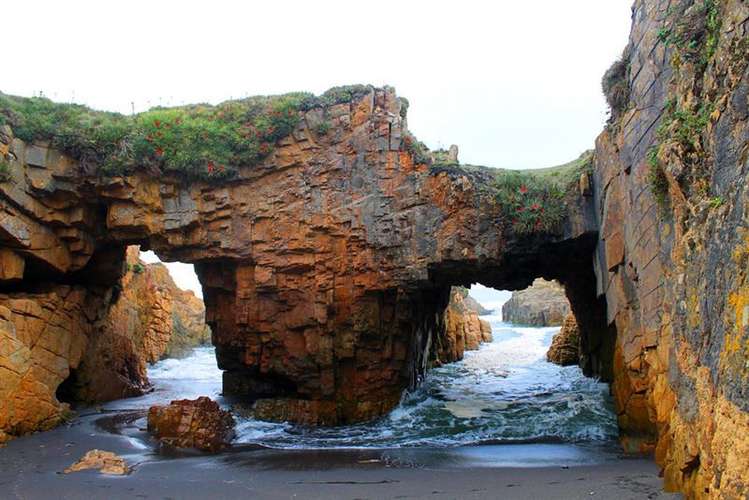 Sitio en venta en Pelluhue
