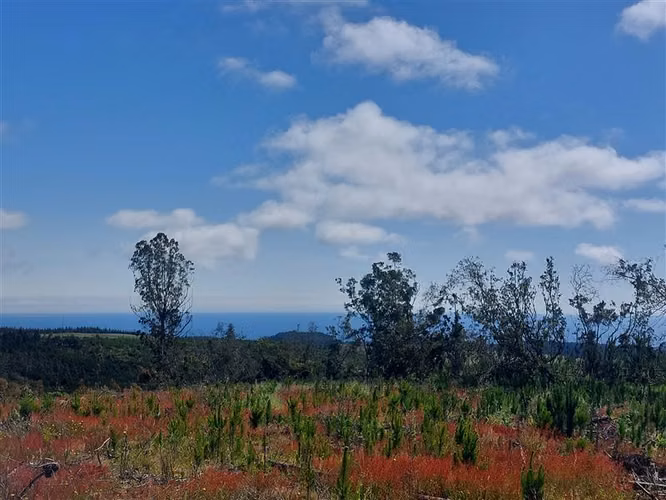 Parcela en venta en Pichilemu - Imagen 10