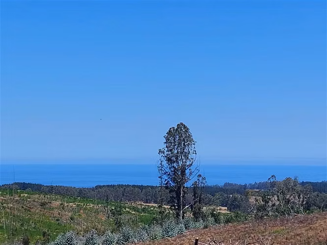 Parcela en venta en Pichilemu