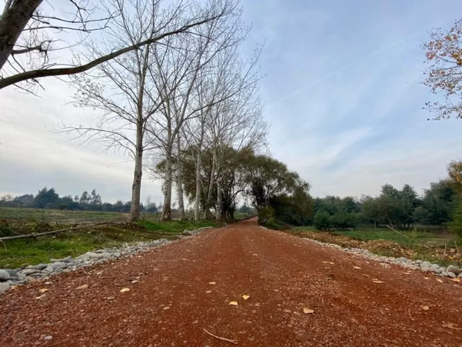 Parcelas CAMINO A CATO km.7. Condominio en venta en Chillán - Imagen 5