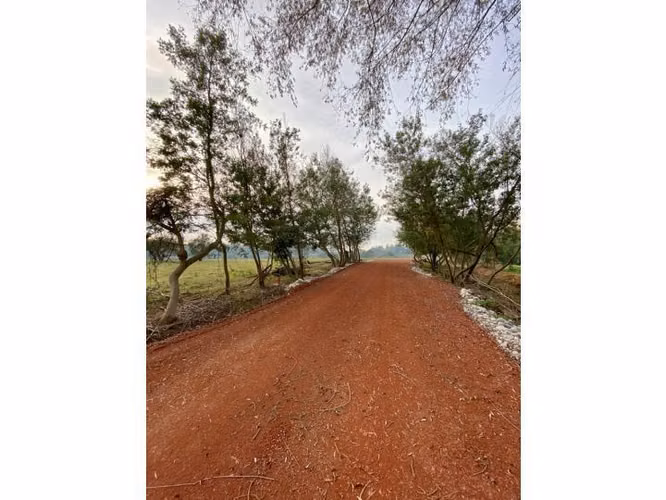Parcelas CAMINO A CATO km.7. Condominio en venta en Chillán - Imagen 7