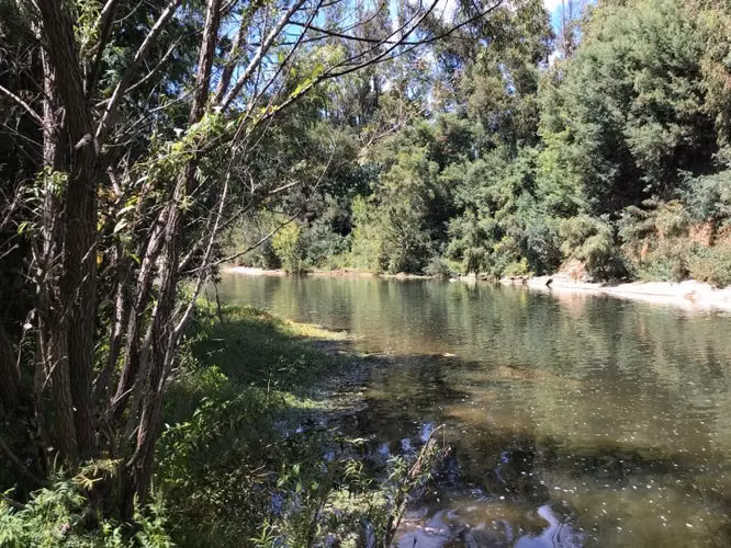 Parcelas CAMINO A CATO km.7. Condominio en venta en Chillán - Imagen 19