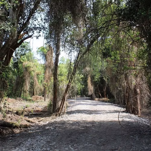 Parcela Camino a Cato DESDE 45 MILL. en venta en Chillán