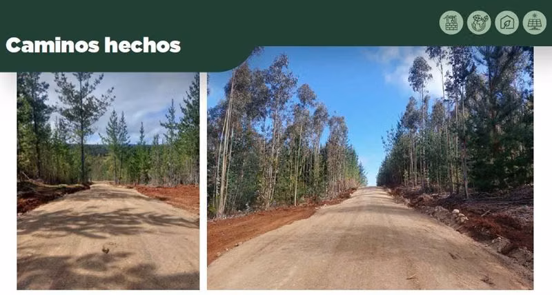 Parcela Pichilemu, 6km playa Mónaco Descuento Venta en Verde