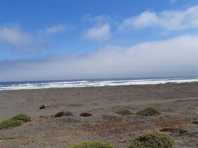 Parcela Pichilemu, 6km playa Mónaco Descuento Venta en Verde
