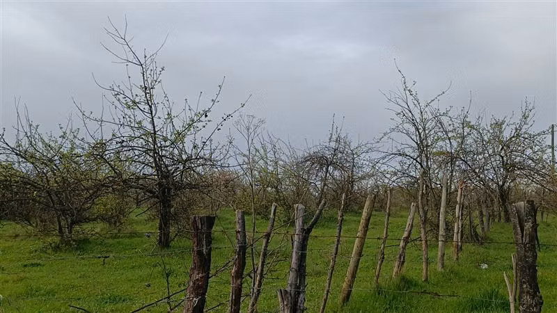 12.5 hectareas sector Industrial en venta en Chillán Viejo