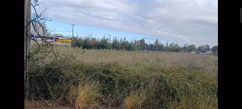 Terreno Industrial 15.000 mts2 en venta en Chillán Viejo
