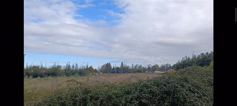 Terreno Industrial 15.000 mts2 en venta en Chillán Viejo