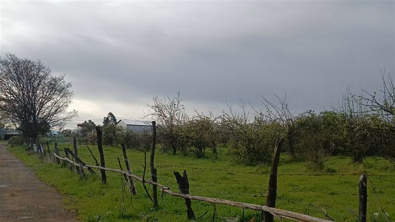 Agrícola industrial en venta en Chillán Viejo, Ruta 5 sur