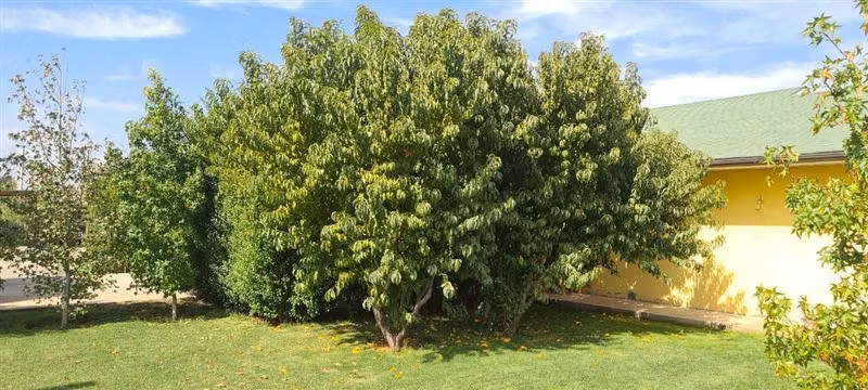 Parcela en venta en Tiltil - Imagen 4