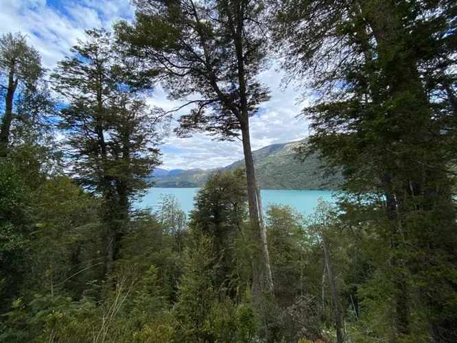 Sitio en venta en Lago Verde - Imagen 9