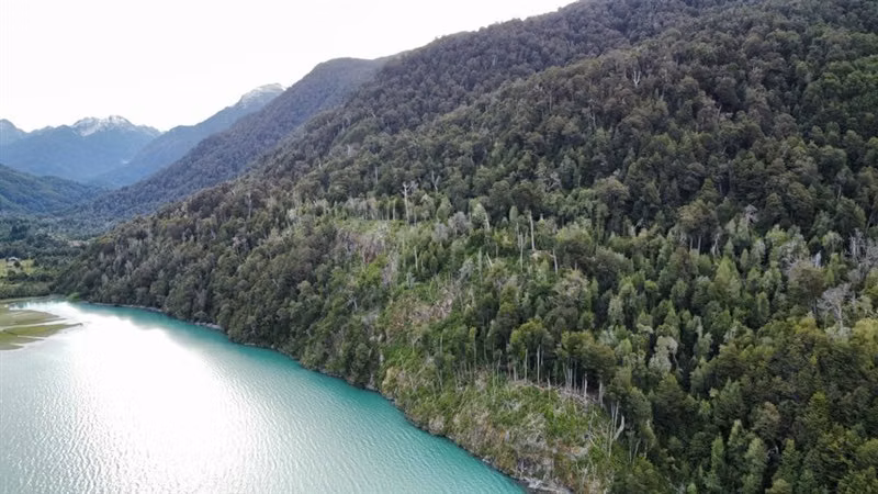 Sitio en venta en Lago Verde