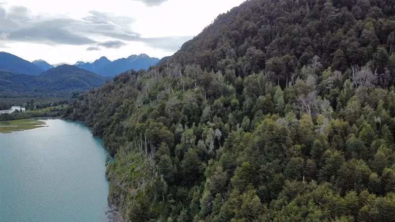 Sitio en venta en Lago Verde