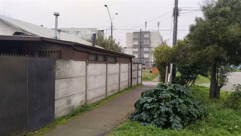 SECTOR COCA - COLA - MILANO