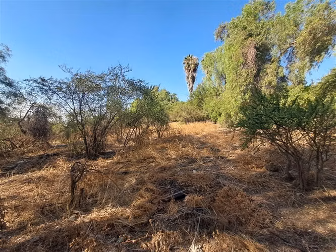 Sitio en venta en Colina