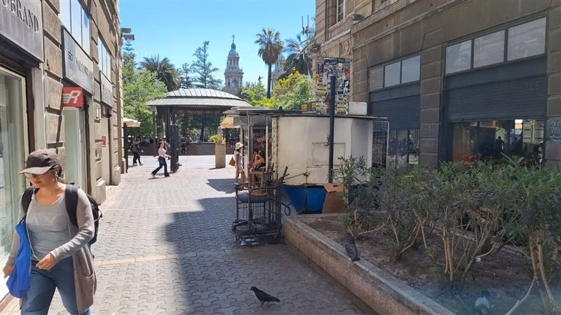 Oficina en venta en Santiago - Imagen 19