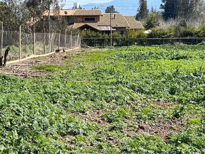 Parcela en venta en Melipilla - Imagen 14
