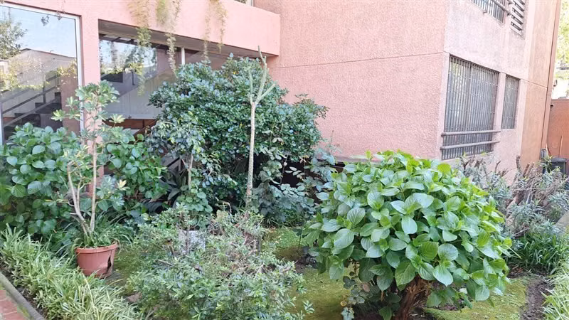 Oficina en venta en Providencia - Imagen 14