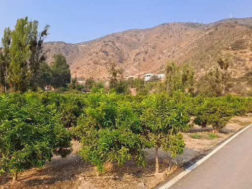 Parcela en venta en Talagante