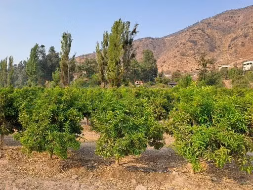 Parcela en venta en Talagante
