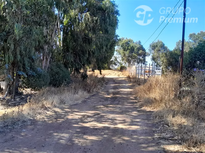 Sitio en venta en sector Mantagua, comuna de Quintero