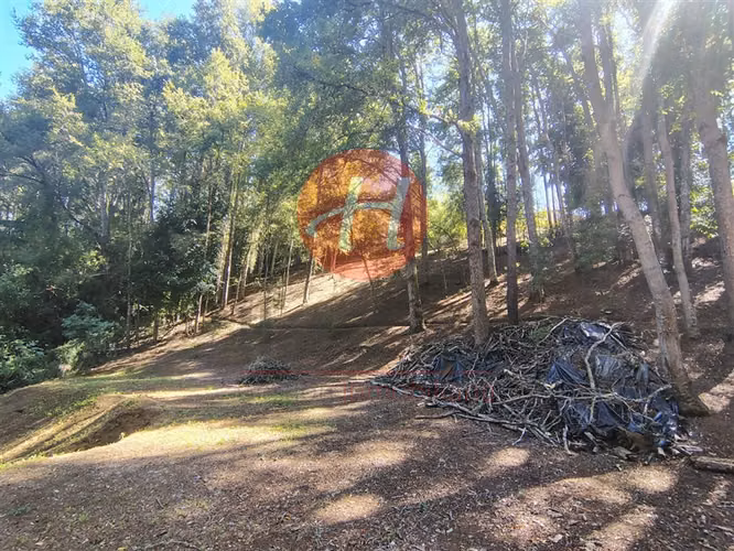 Venta Parcela 6.600m² Pumalal - Imagen 34