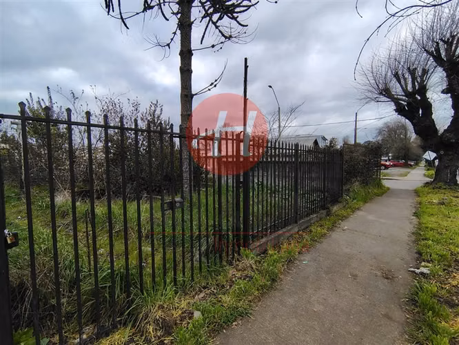 Venta Sitios 312m² Las Quilas - Imagen 2