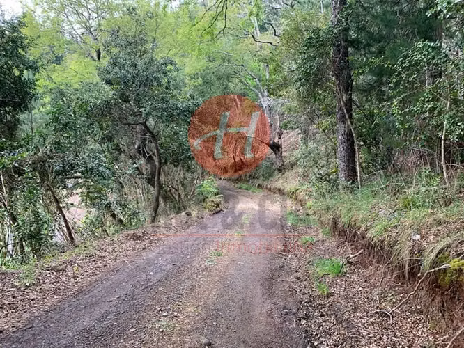 Parcela en Venta en Pumalal, Temuco 5.000 m