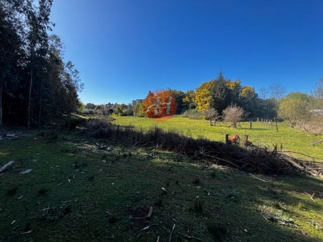 Terreno en Venta en Temuco de 26.000 m Ideal para Proyecto - Imagen 2