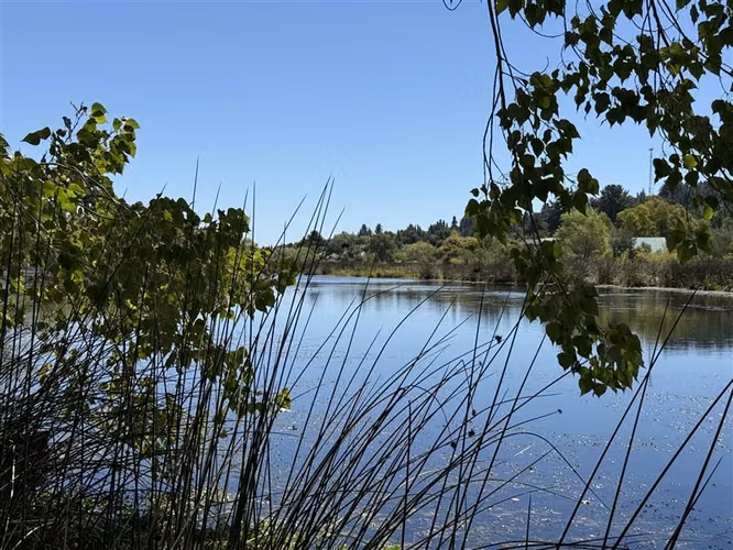 Quillon Sitio en venta con laguna