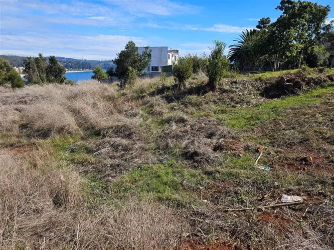 Terreno Construccion en venta en Dichato, Tomé #137768 - Imagen 4